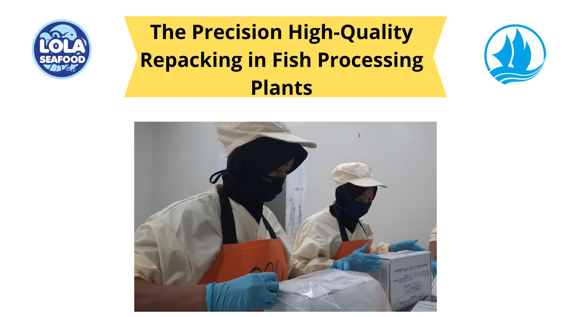 The Precision High-Quality Repacking in Fish Processing Plants